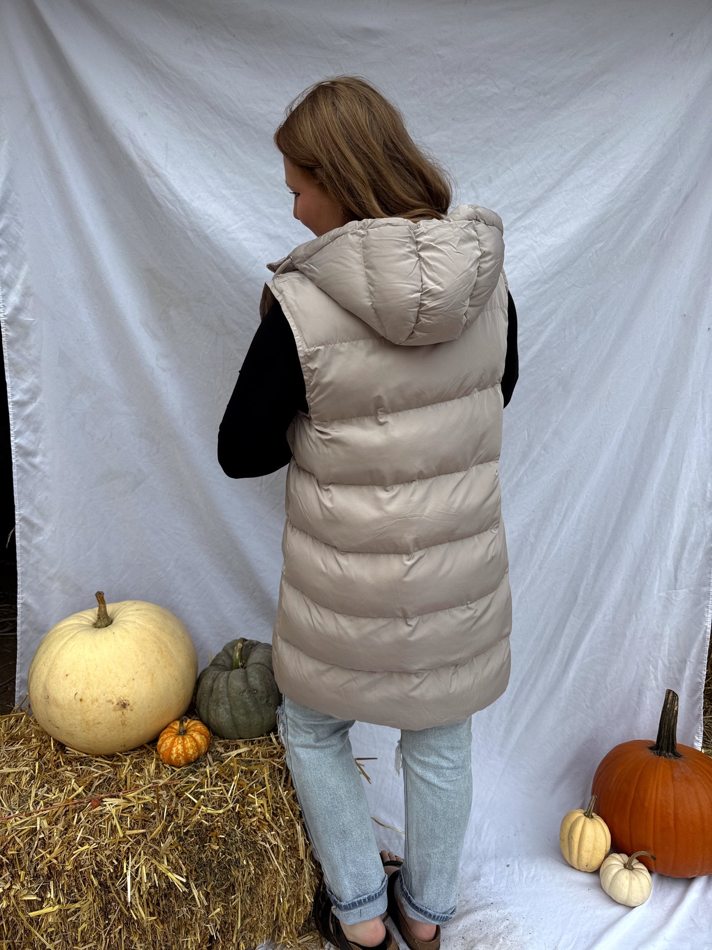 Hooded Puffer Vest