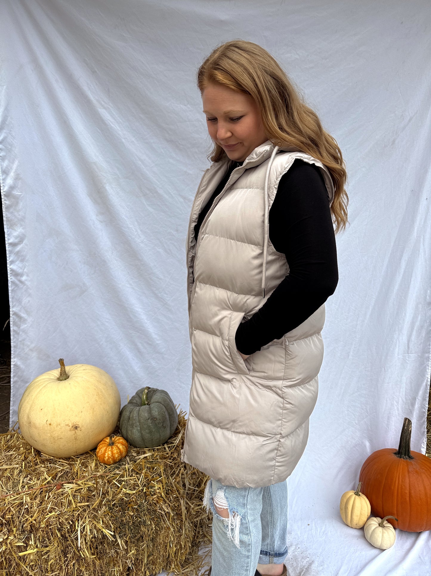 Hooded Puffer Vest